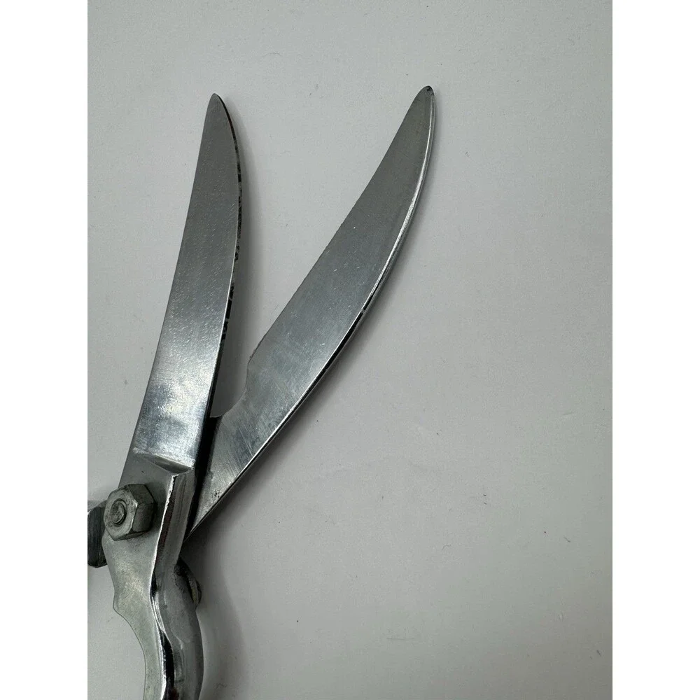 Poultry Shears Vintage Made In Italy Off White Handle